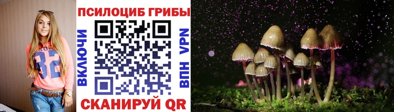 Галлюциногенные грибы Cubensis  наркотики  Сухой Лог 