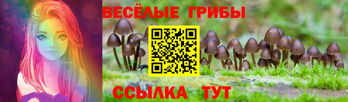 Сухой Лог  Псилоцибиновые грибы Psilocybine cubensis  Вход с VPN 